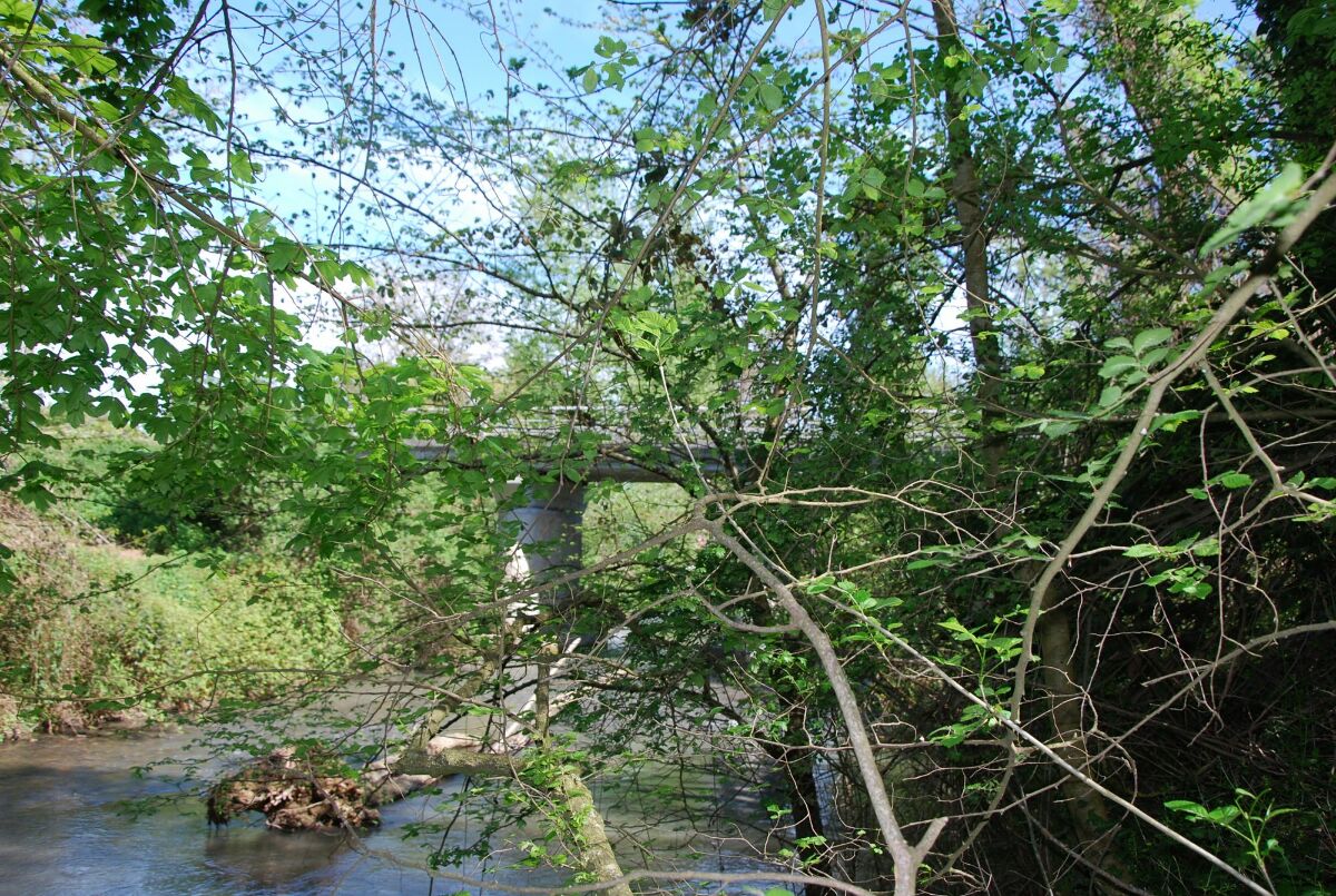 Image description