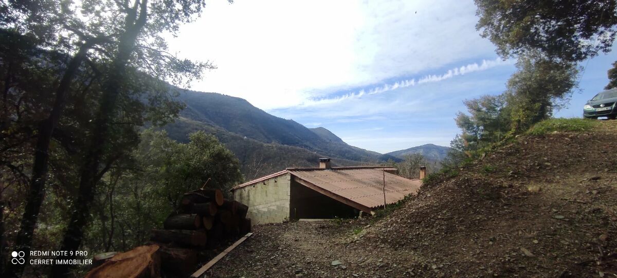 Image description